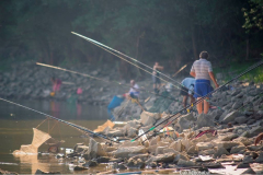 1090887_605712976139640_416776078_o