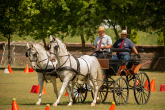 291616376_5559143614129860_649267944478848920_n